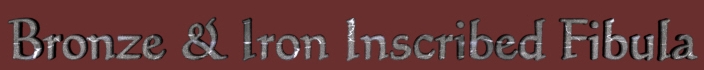 Bronze & Iron Inscribed Fibula